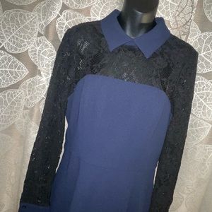 Badgely Mischka Modele Dress size 8